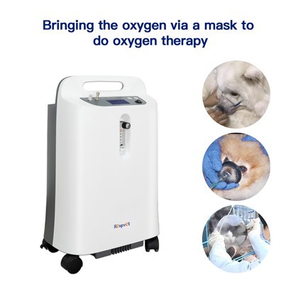 Cușcă de oxigen pentru animale de companie veterinară de înaltă calitate pentru concentrator de oxigen de 5l