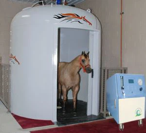 Concentrator de oxigen pentru uz veterinar