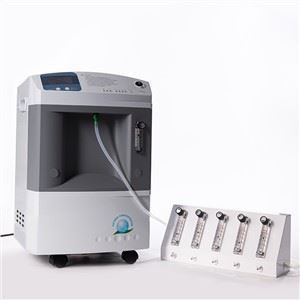 Concentrator de oxigen 10lpm Conectați-vă cu splitterul de flux