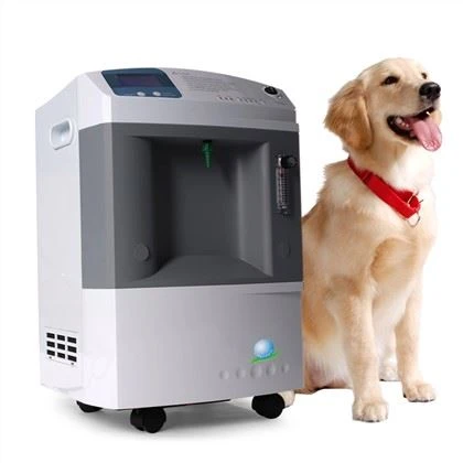 Concentrator de oxigen veterinar 10L utilizat în clinici sau spital mic