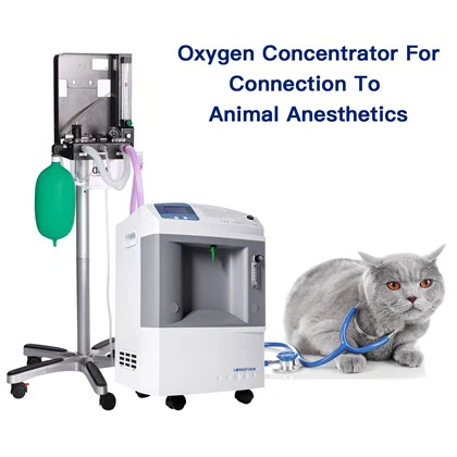 Concentrator de oxigen 10L pentru cat